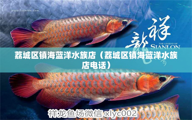 荔城區(qū)鎮(zhèn)海藍(lán)洋水族店（荔城區(qū)鎮(zhèn)海藍(lán)洋水族店電話） 全國水族館企業(yè)名錄