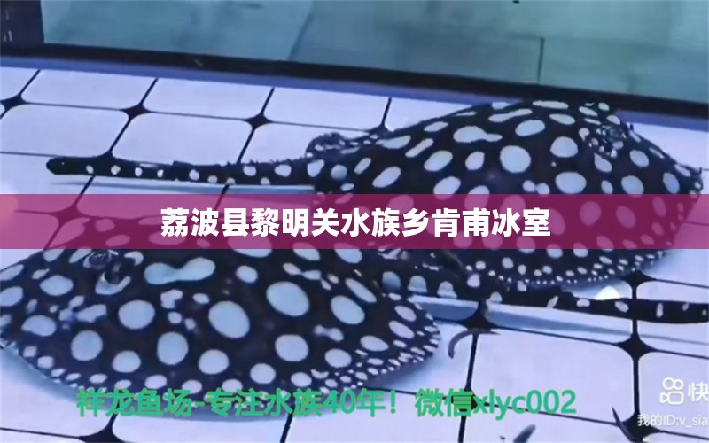 荔波縣黎明關水族鄉(xiāng)肯甫冰室 全國水族館企業(yè)名錄