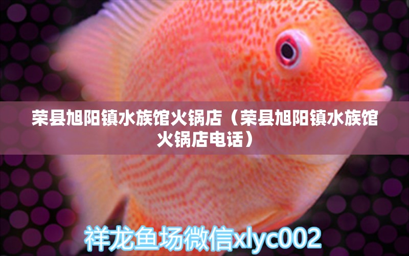 榮縣旭陽鎮(zhèn)水族館火鍋店（榮縣旭陽鎮(zhèn)水族館火鍋店電話）