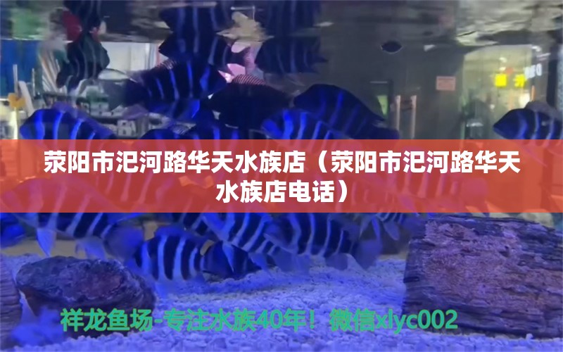 滎陽市汜河路華天水族店（滎陽市汜河路華天水族店電話）