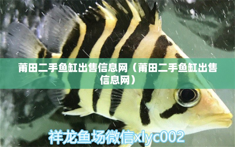 莆田二手魚缸出售信息網(wǎng)（莆田二手魚缸出售信息網(wǎng)）