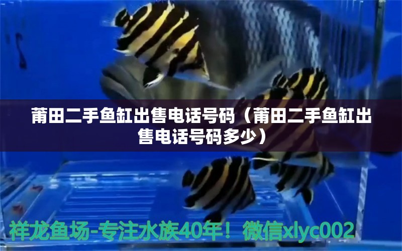 莆田二手魚缸出售電話號碼（莆田二手魚缸出售電話號碼多少）