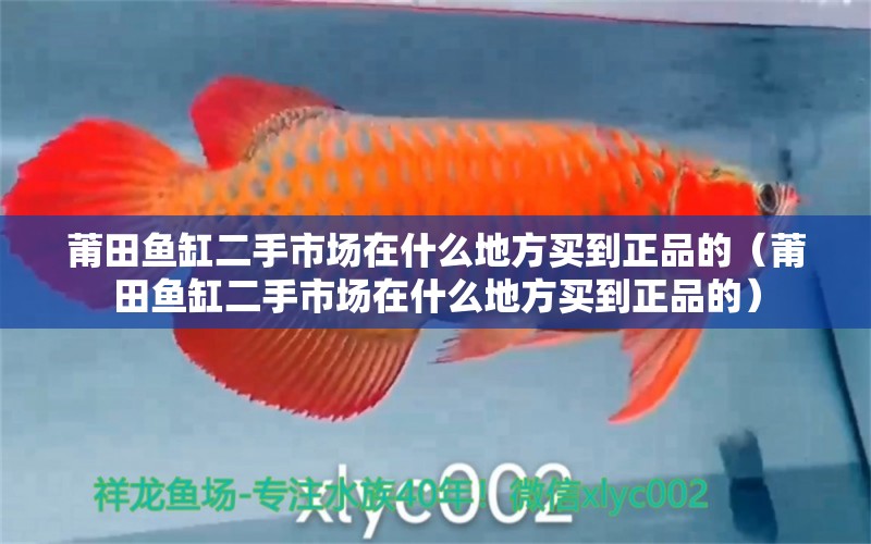 莆田魚缸二手市場在什么地方買到正品的（莆田魚缸二手市場在什么地方買到正品的）