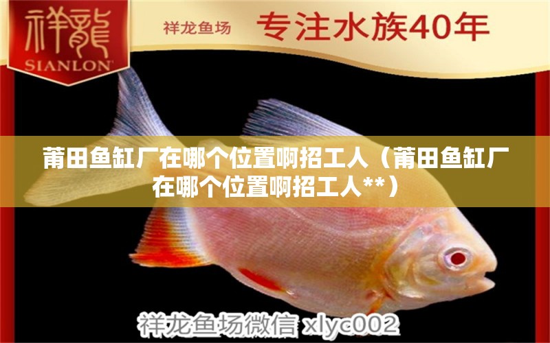 莆田魚缸廠在哪個位置啊招工人（莆田魚缸廠在哪個位置啊招工人**）