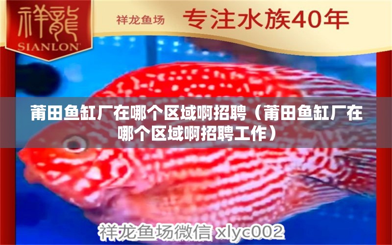 莆田魚(yú)缸廠在哪個(gè)區(qū)域啊招聘（莆田魚(yú)缸廠在哪個(gè)區(qū)域啊招聘工作）