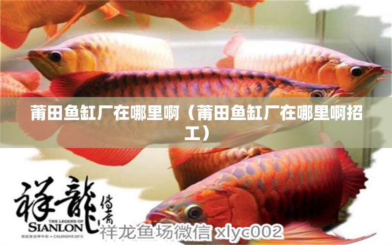 莆田魚缸廠在哪里?。ㄆ翁雉~缸廠在哪里啊招工）