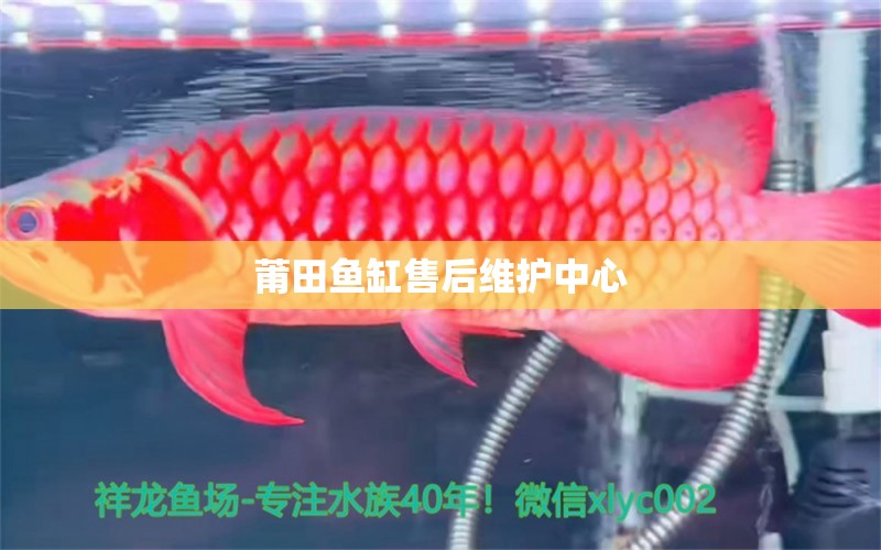 莆田魚(yú)缸售后維護(hù)中心 其他品牌魚(yú)缸