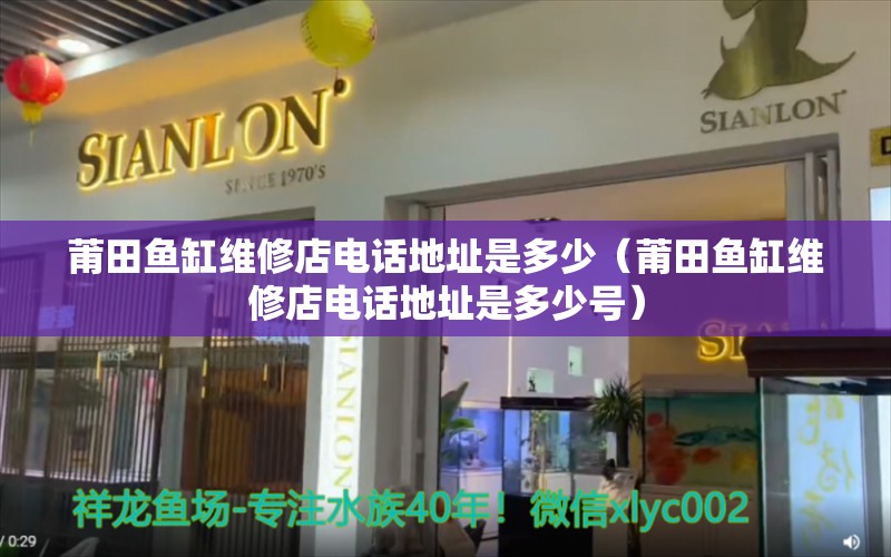 莆田魚缸維修店電話地址是多少（莆田魚缸維修店電話地址是多少號） 福滿鉆魚