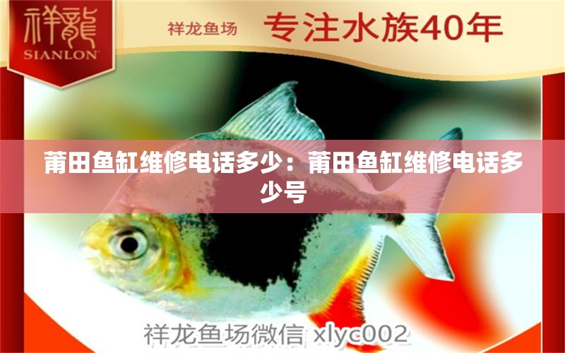 莆田魚缸維修電話多少：莆田魚缸維修電話多少號(hào)