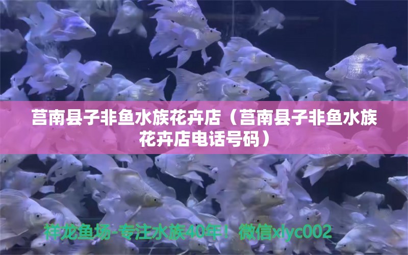 莒南縣子非魚(yú)水族花卉店（莒南縣子非魚(yú)水族花卉店電話(huà)號(hào)碼）