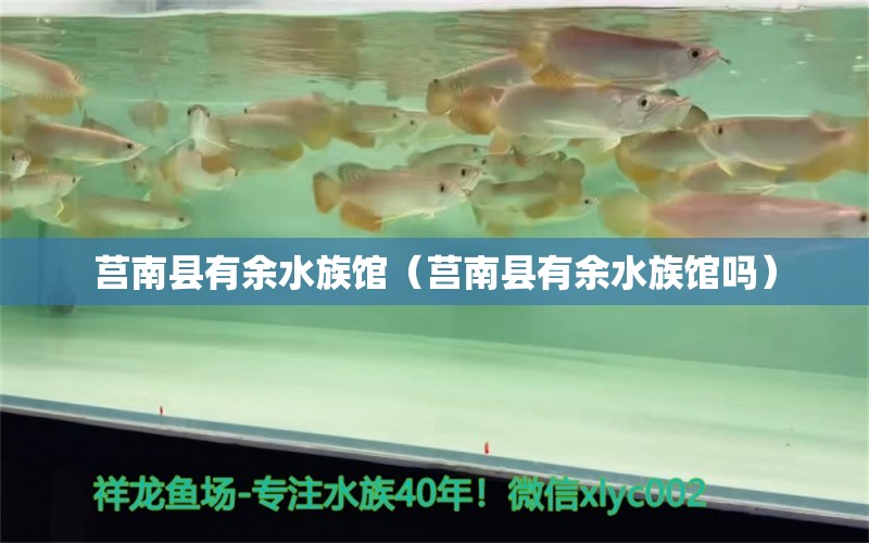 莒南縣有余水族館（莒南縣有余水族館嗎）