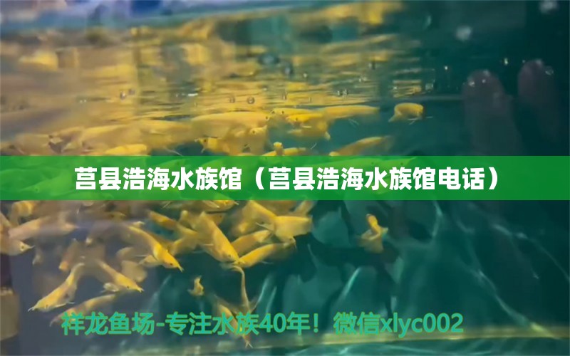 莒縣浩海水族館（莒縣浩海水族館電話）