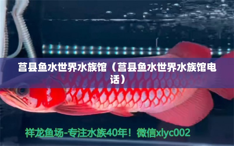 莒縣魚水世界水族館（莒縣魚水世界水族館電話） 全國水族館企業(yè)名錄