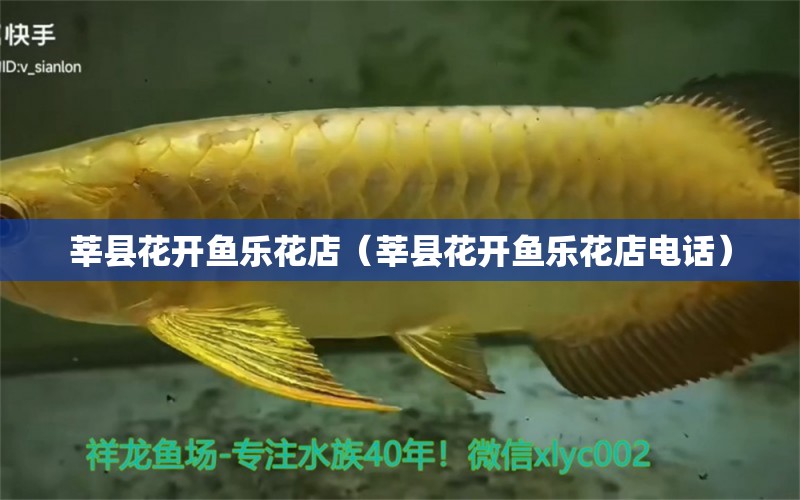 莘縣花開魚樂花店（莘縣花開魚樂花店電話） 全國水族館企業(yè)名錄