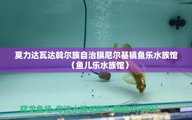 莫力達(dá)瓦達(dá)斡爾族自治旗尼爾基鎮(zhèn)魚(yú)樂(lè)水族館（魚(yú)兒樂(lè)水族館）