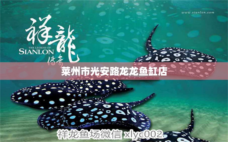 萊州市光安路龍龍魚缸店 全國水族館企業(yè)名錄