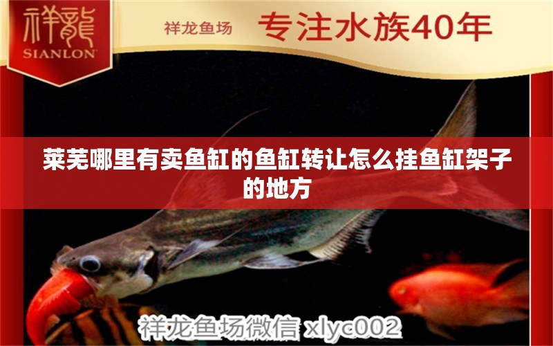 萊蕪哪里有賣魚缸的魚缸轉(zhuǎn)讓怎么掛魚缸架子的地方