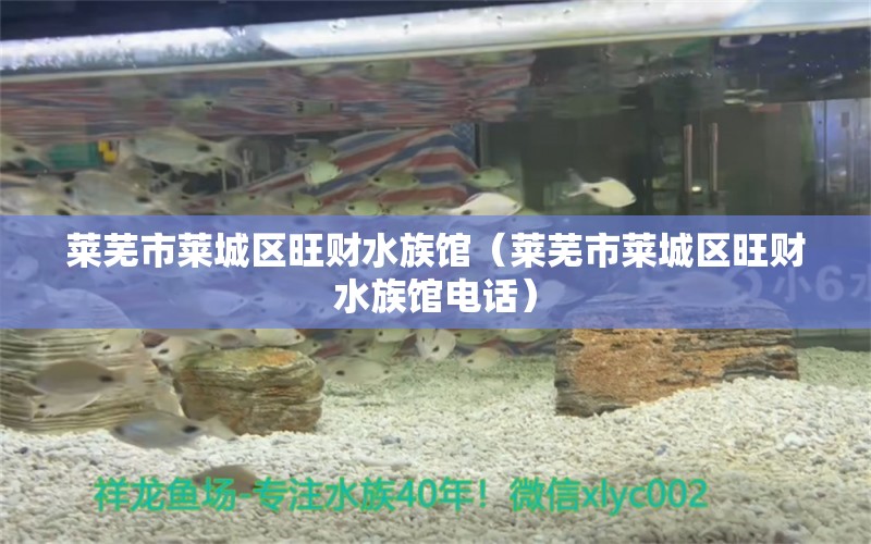 萊蕪市萊城區(qū)旺財水族館（萊蕪市萊城區(qū)旺財水族館電話）