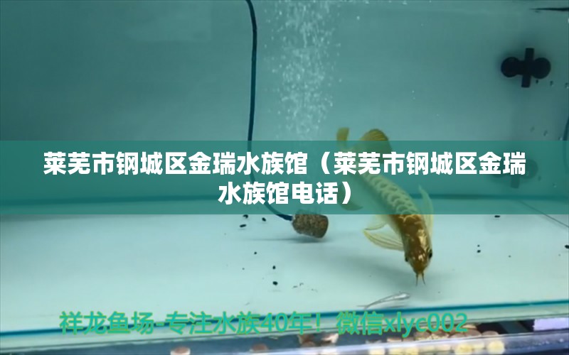 萊蕪市鋼城區(qū)金瑞水族館（萊蕪市鋼城區(qū)金瑞水族館電話）