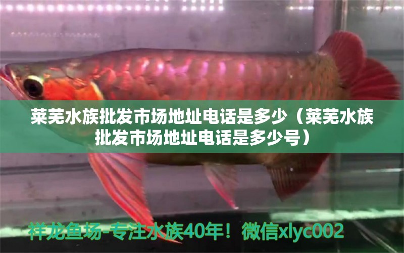 萊蕪水族批發(fā)市場(chǎng)地址電話是多少（萊蕪水族批發(fā)市場(chǎng)地址電話是多少號(hào)）