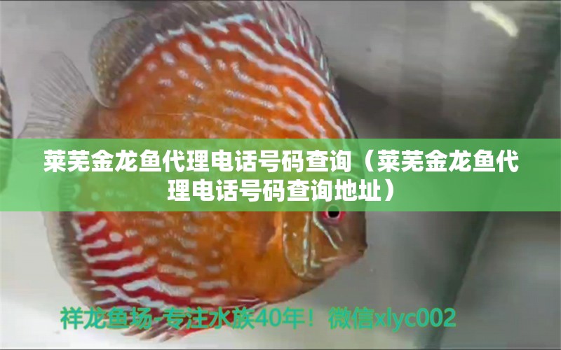 萊蕪金龍魚代理電話號(hào)碼查詢（萊蕪金龍魚代理電話號(hào)碼查詢地址）