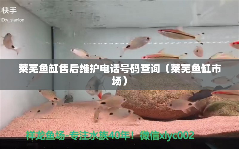 萊蕪魚缸售后維護電話號碼查詢（萊蕪魚缸市場） 其他品牌魚缸