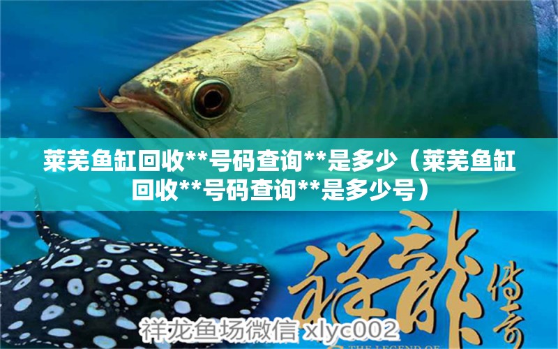 萊蕪魚缸回收**號碼查詢**是多少（萊蕪魚缸回收**號碼查詢**是多少號）