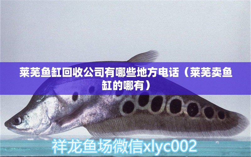 萊蕪魚(yú)缸回收公司有哪些地方電話(huà)（萊蕪賣(mài)魚(yú)缸的哪有）