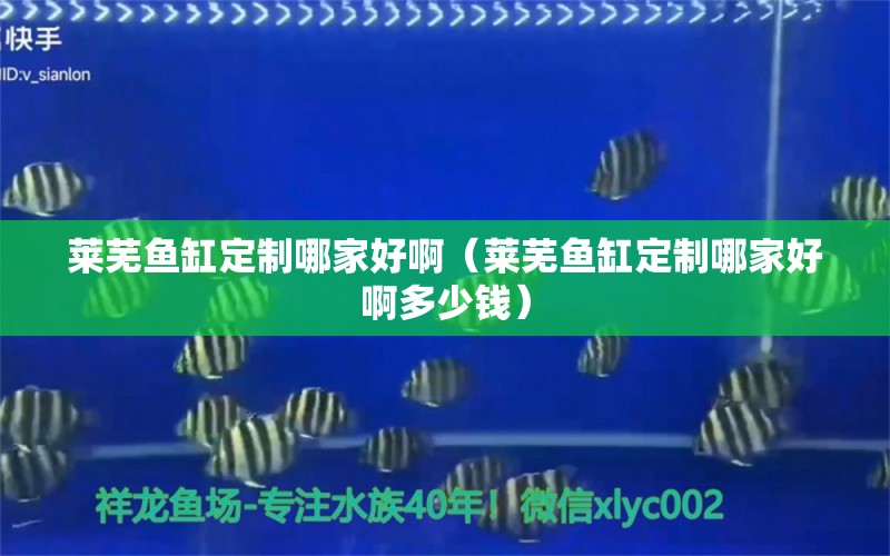 萊蕪魚缸定制哪家好啊（萊蕪魚缸定制哪家好啊多少錢） 量子養(yǎng)魚技術(shù)