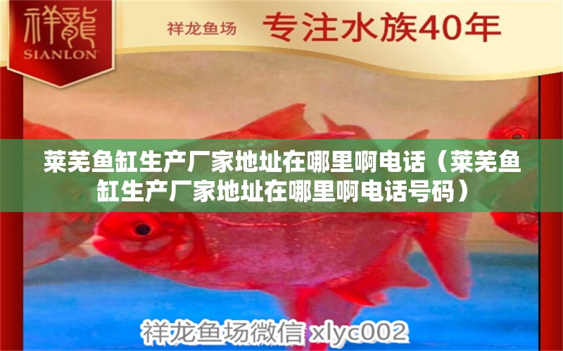 萊蕪魚缸生產(chǎn)廠家地址在哪里啊電話（萊蕪魚缸生產(chǎn)廠家地址在哪里啊電話號(hào)碼） 祥龍水族醫(yī)院