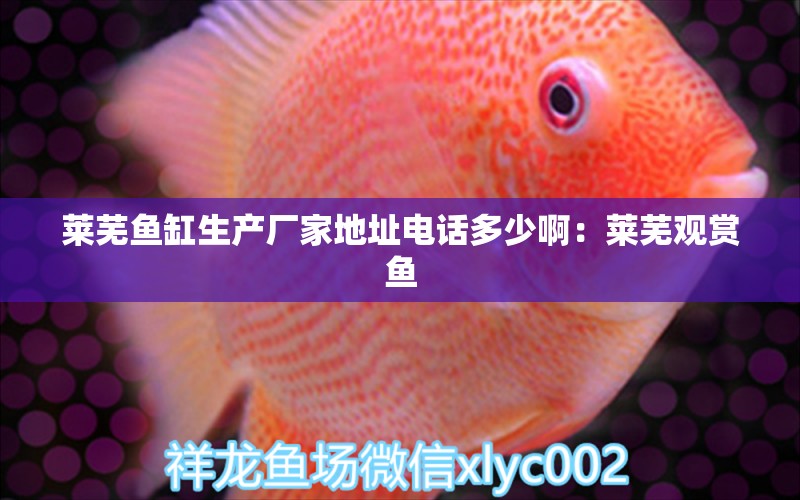 萊蕪魚缸生產(chǎn)廠家地址電話多少?。喝R蕪觀賞魚 廣州水族批發(fā)市場 第2張