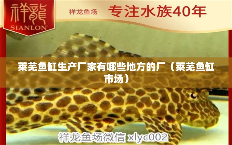 萊蕪魚(yú)缸生產(chǎn)廠(chǎng)家有哪些地方的廠(chǎng)（萊蕪魚(yú)缸市場(chǎng)）