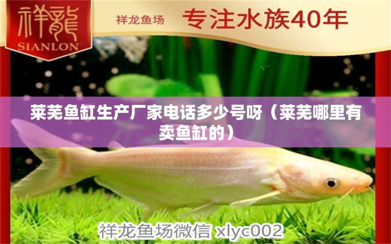 萊蕪魚缸生產(chǎn)廠家電話多少號(hào)呀（萊蕪哪里有賣魚缸的）