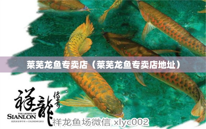 萊蕪龍魚專賣店（萊蕪龍魚專賣店地址） 野彩魚