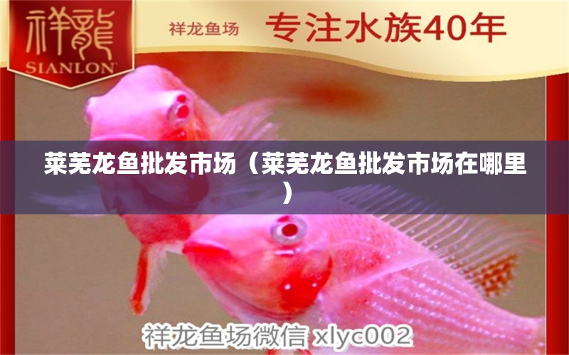 萊蕪龍魚批發(fā)市場（萊蕪龍魚批發(fā)市場在哪里）