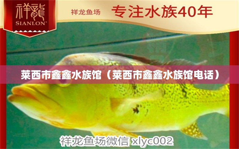 萊西市鑫鑫水族館（萊西市鑫鑫水族館電話） 全國水族館企業(yè)名錄