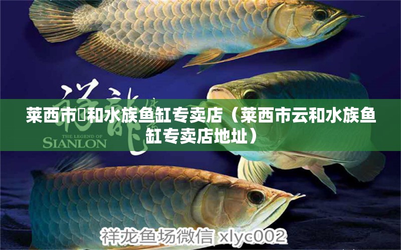 萊西市雲(yún)和水族魚(yú)缸專(zhuān)賣(mài)店（萊西市云和水族魚(yú)缸專(zhuān)賣(mài)店地址）