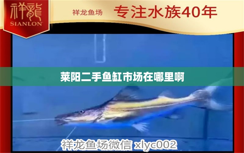 萊陽二手魚缸市場在哪里啊 祥龍魚場