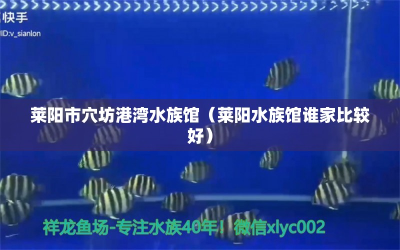 萊陽市穴坊港灣水族館（萊陽水族館誰家比較好）