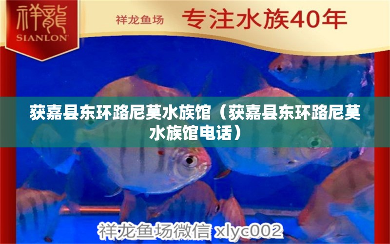 獲嘉縣東環(huán)路尼莫水族館（獲嘉縣東環(huán)路尼莫水族館電話）