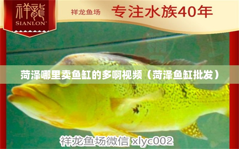 菏澤哪里賣魚缸的多啊視頻（菏澤魚缸批發(fā)） 三間鼠魚苗 第1張