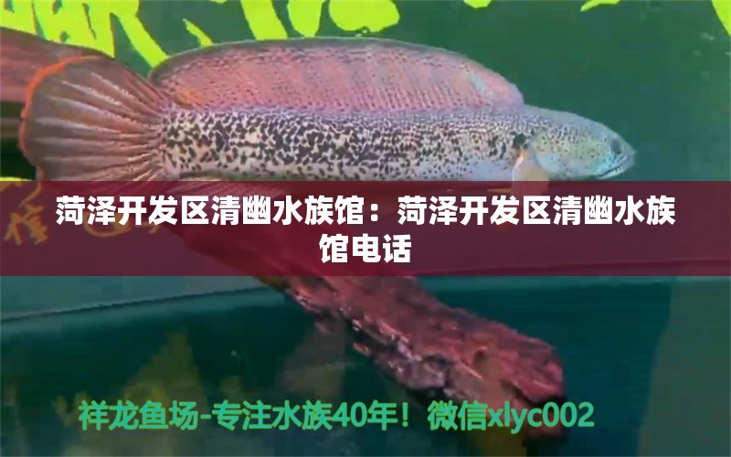 菏澤開發(fā)區(qū)清幽水族館：菏澤開發(fā)區(qū)清幽水族館電話 全國(guó)水族館企業(yè)名錄