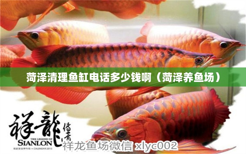 菏澤清理魚缸電話多少錢啊（菏澤養(yǎng)魚場(chǎng)） 廣州觀賞魚批發(fā)市場(chǎng)