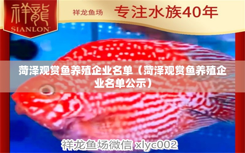 菏澤觀賞魚養(yǎng)殖企業(yè)名單（菏澤觀賞魚養(yǎng)殖企業(yè)名單公示）