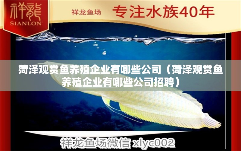 菏澤觀賞魚(yú)養(yǎng)殖企業(yè)有哪些公司（菏澤觀賞魚(yú)養(yǎng)殖企業(yè)有哪些公司招聘）