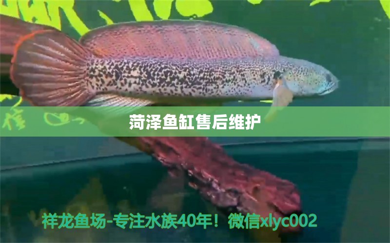 菏澤魚缸售后維護