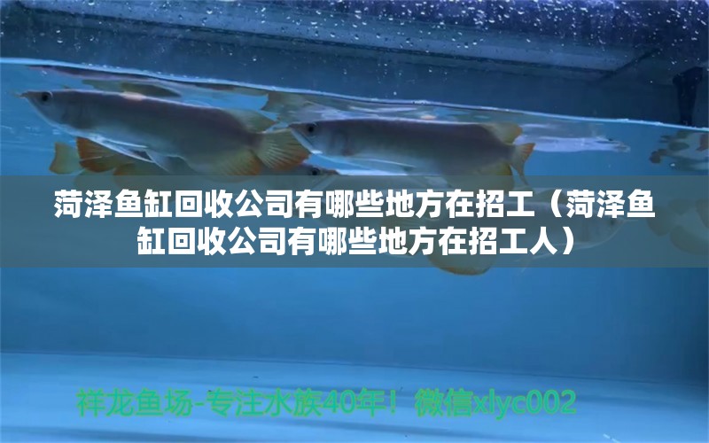 菏澤魚缸回收公司有哪些地方在招工（菏澤魚缸回收公司有哪些地方在招工人）