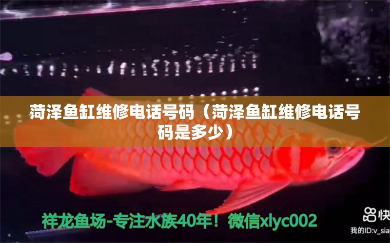 菏澤魚(yú)缸維修電話號(hào)碼（菏澤魚(yú)缸維修電話號(hào)碼是多少）