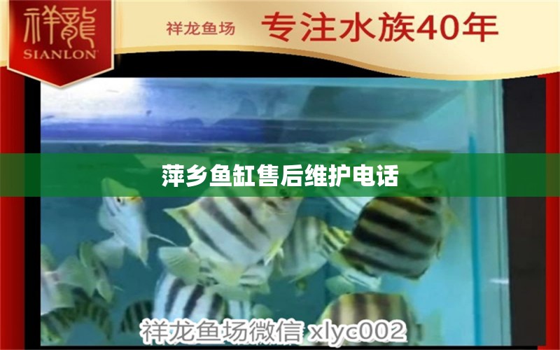 萍鄉(xiāng)魚缸售后維護電話 其他品牌魚缸