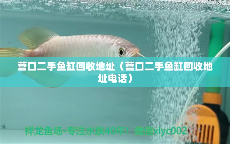 營(yíng)口二手魚(yú)缸回收地址（營(yíng)口二手魚(yú)缸回收地址電話(huà)）